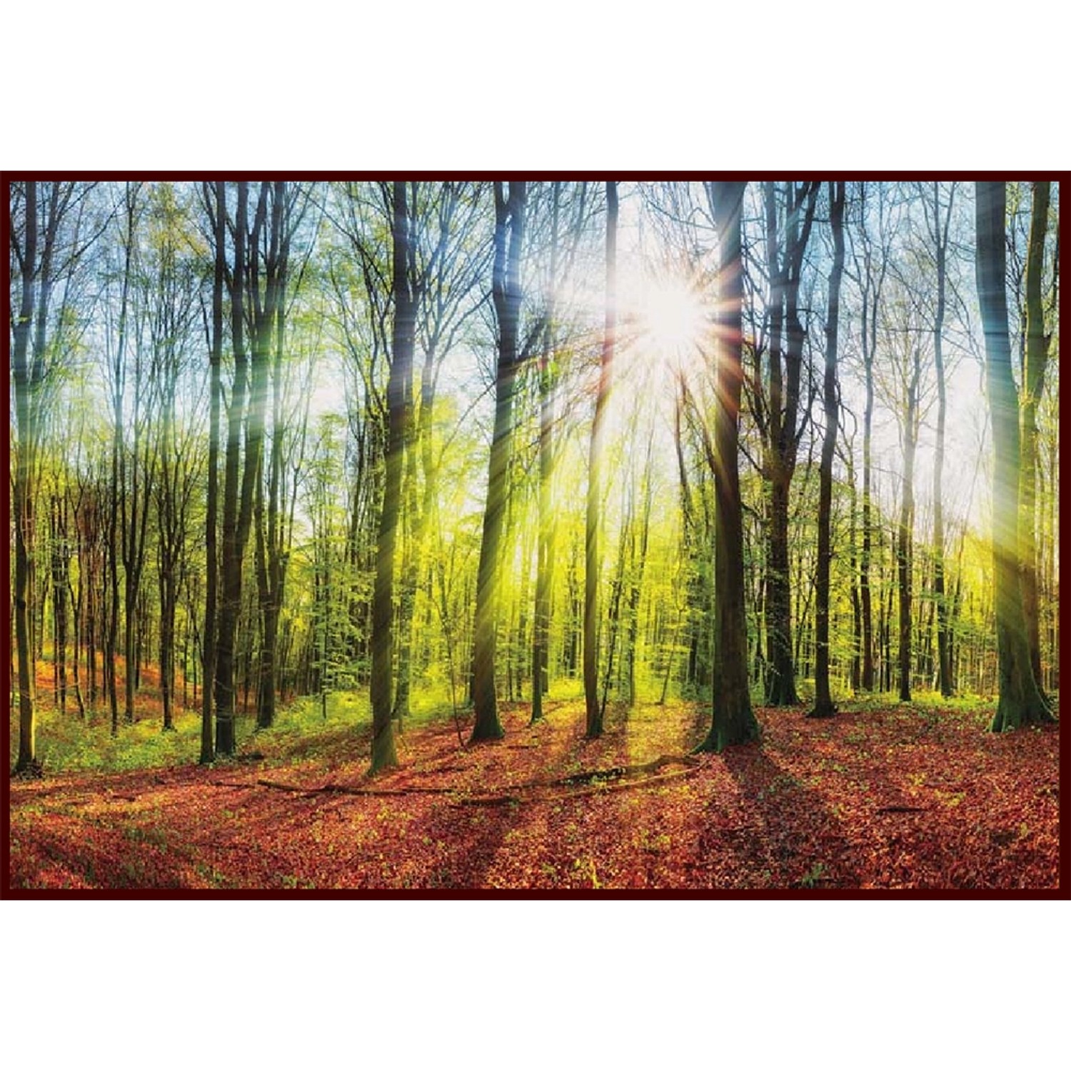 Bondecor Obraz Putframe Sun 50 x 70 cm