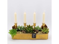 Vánoční aranžmá dužnatky, piley a fitónie ve svícnu, 38 cm