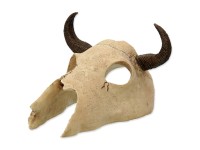 Repti Planet Dekorace bůvolí lebka 12,5 x 11,8 x 8 cm