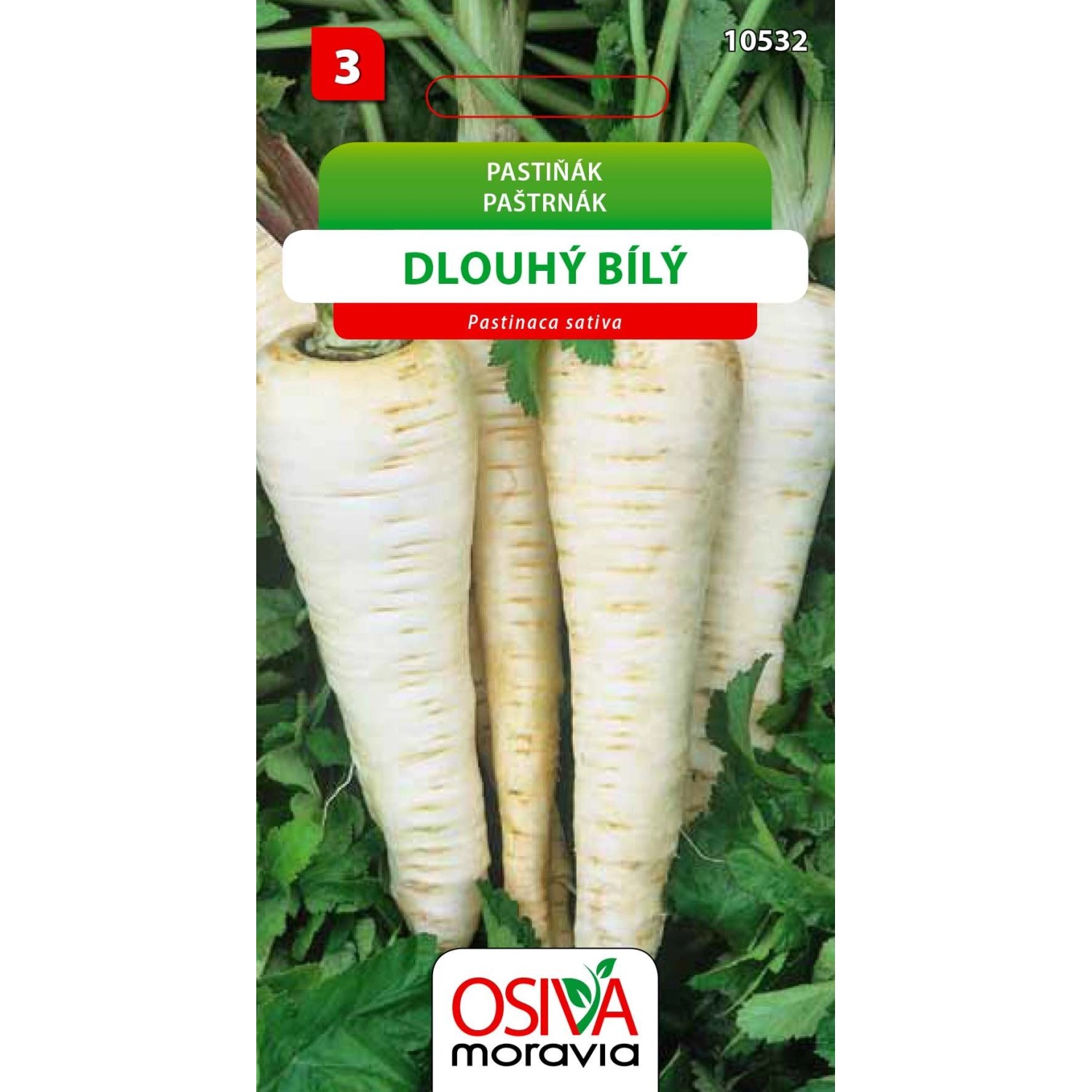 Semínka Pastiňák Dlouhý bílý (Pastinaca sativa)