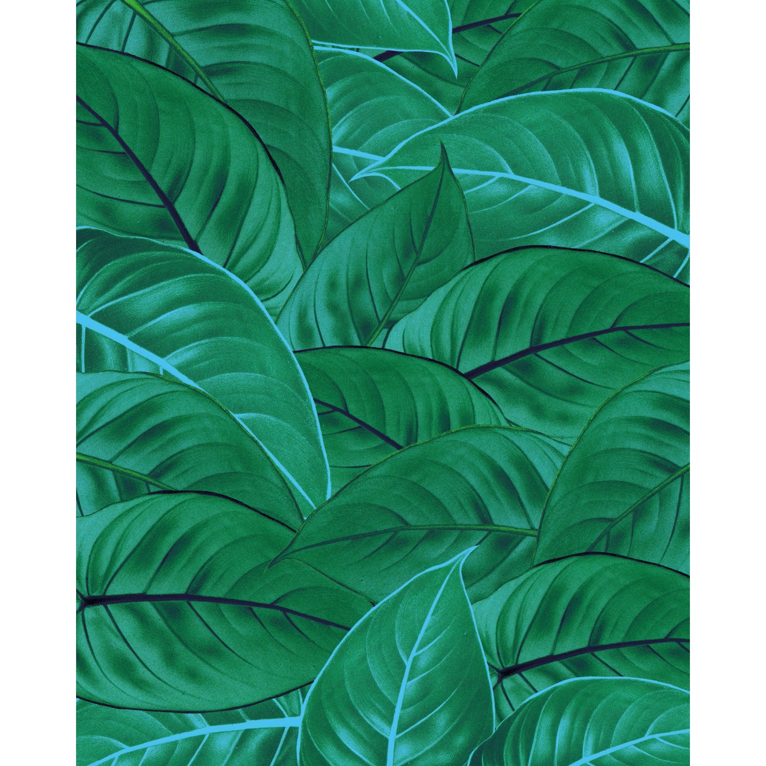Komar Vliesová fototapeta Jungle Leaves 200 x 250 cm