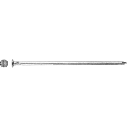 LUX-TOOLS Drátěný hřebík s ploch.hlavou bez povrch.úpravy pr. 6,0x160 mm-na váhu