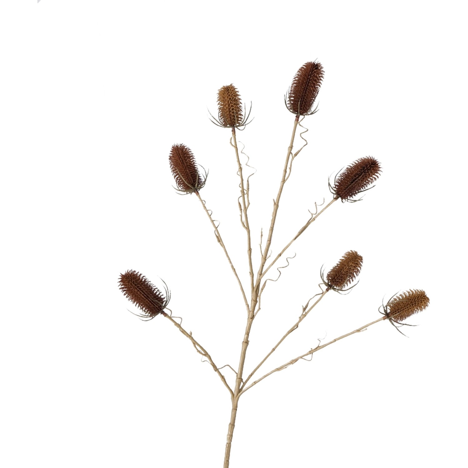 Dekorativní větvička bodláku ve 2 provedeních 110 cm x 10 cm x 110 cm