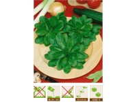 GardenSeed Premium Semínka Kozlíček polní, 1 g GardenSeed Premium Semínka Kozlíček polní, 1 g