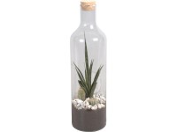 Green Bottle® Skleněná láhev s mixem kaktusů průměr květináče cca 15 cm