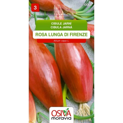 Semínka Cibule jarní Rosa Lunga Di Firenze (Allium cepa L.)