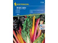 Kiepenkerl Semínka Mangold Bright Lights