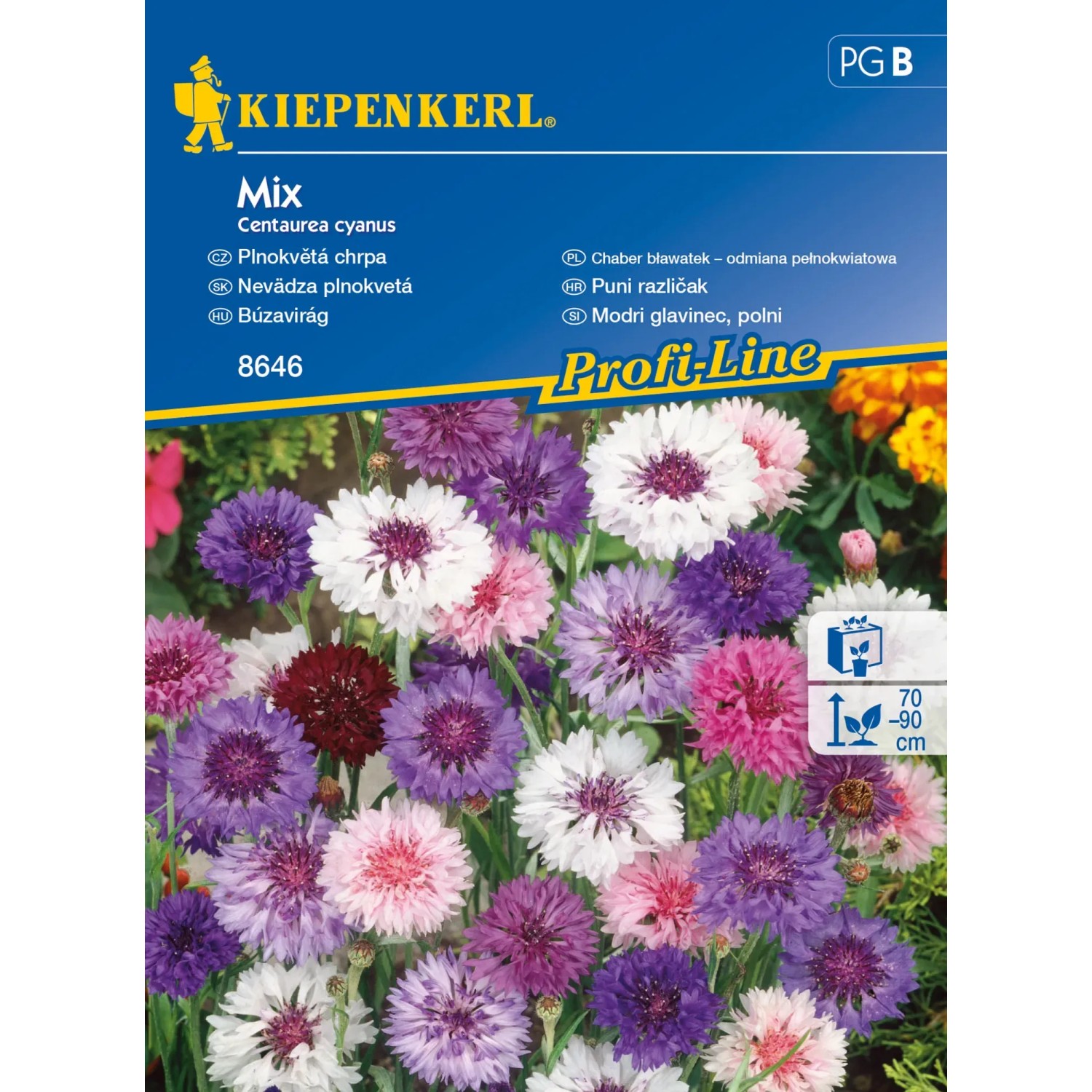 Kiepenkerl Plnokvětá chrpa Mix