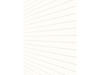 Nástěnný a stropní panel jednobarevný dekor, bílý lesklý, 130 x 20,2 x 1 cm