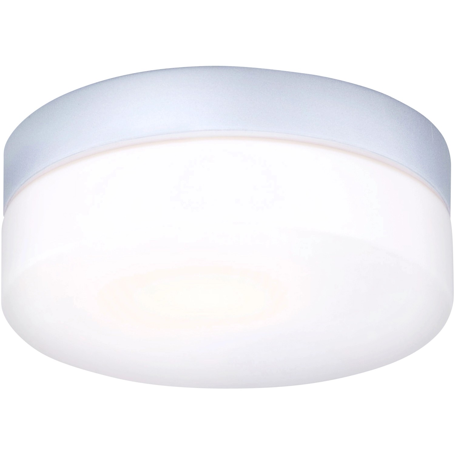 Globo Stropní koupelnové osvětlení Vranos 1x 60 W E27 opál