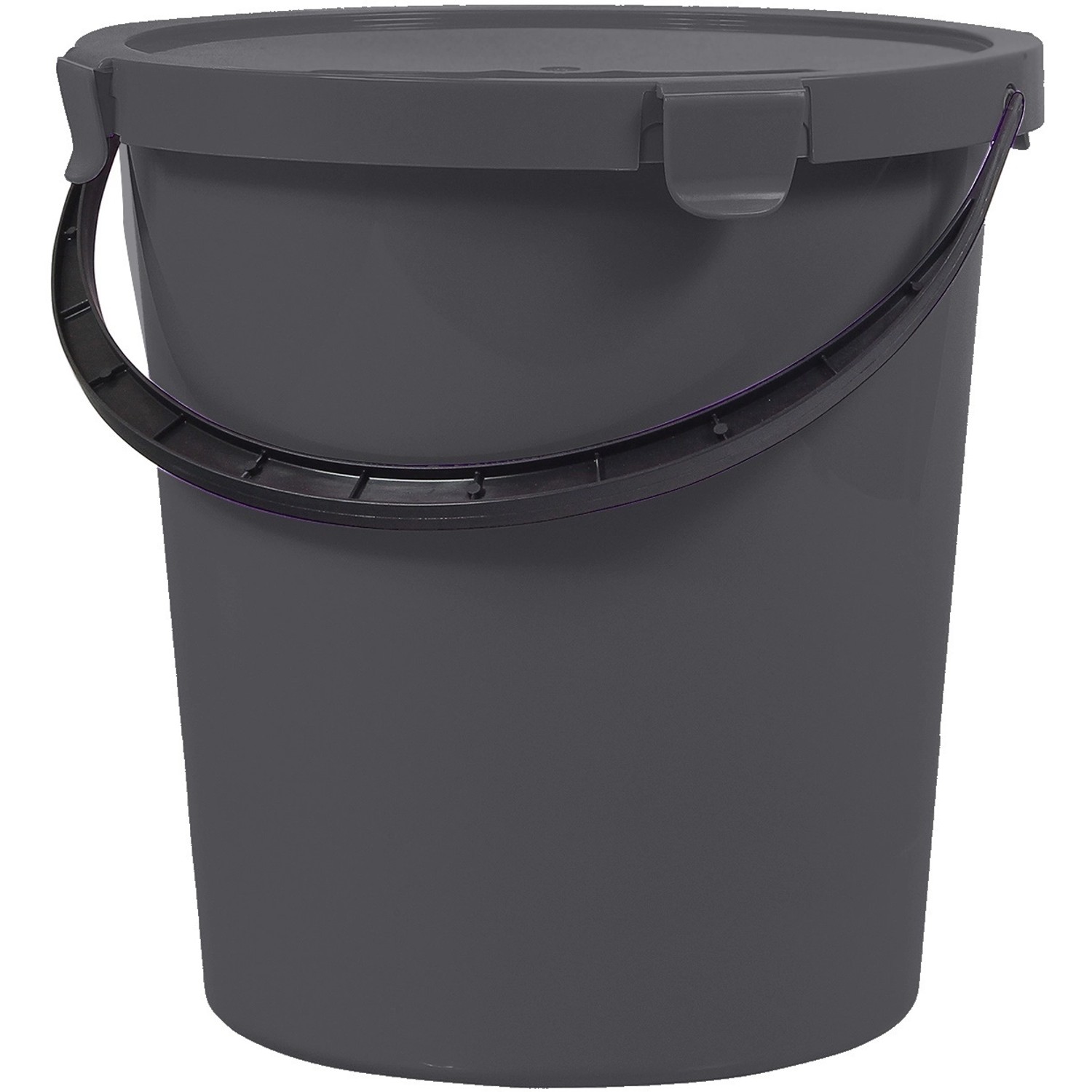 Kbelík s víkem Berry 10 L 60790807