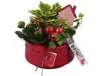 Zimní aranžmá vranečku, kolopejky a břečťanu v červeném keram.kv., pr. 17 cm Zimní aranžmá vranečku, kolopejky a břečťanu v červeném keram.kv., pr. 17 cm