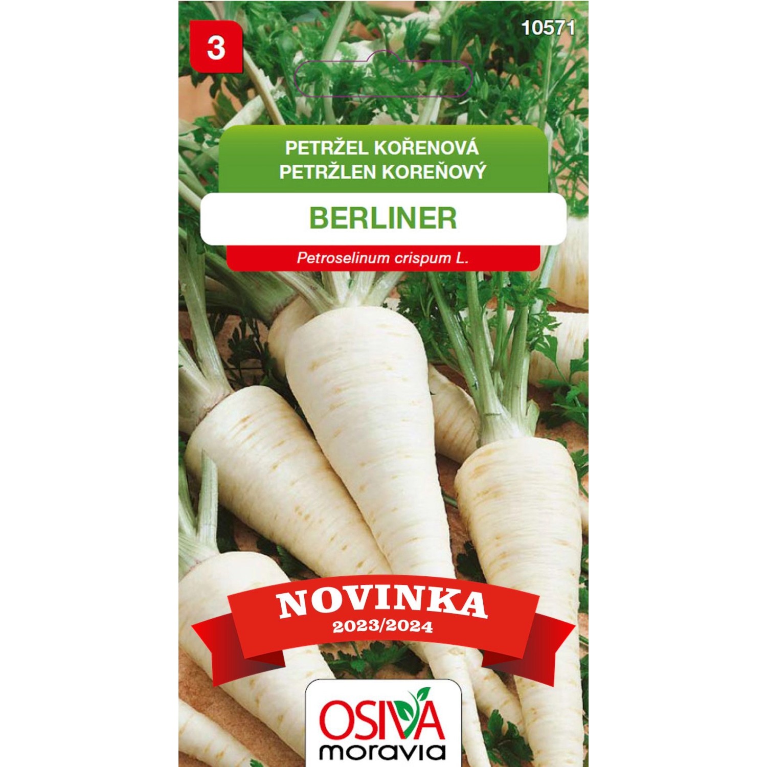 OSIVA Moravia Petržel kořenová "Berliner" (Petroselinum crispum L.)