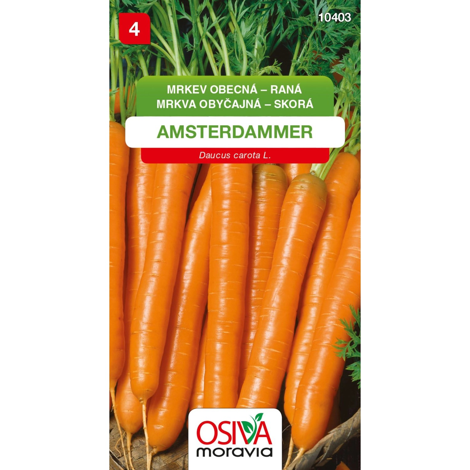 Semínka Mrkev obecná raná Amsterdammer (Daucus carota L.)