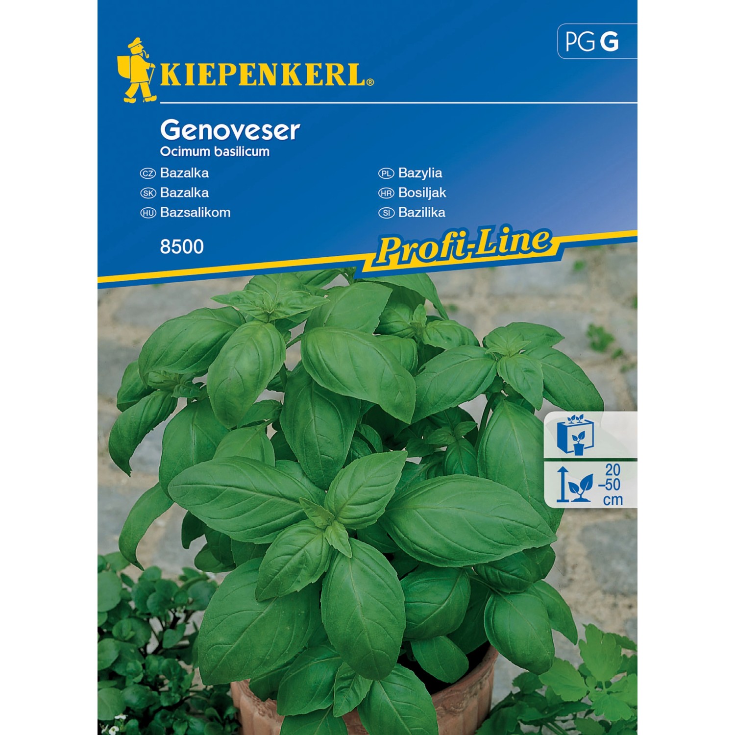 Kiepenkerl Bazalka Genoveser