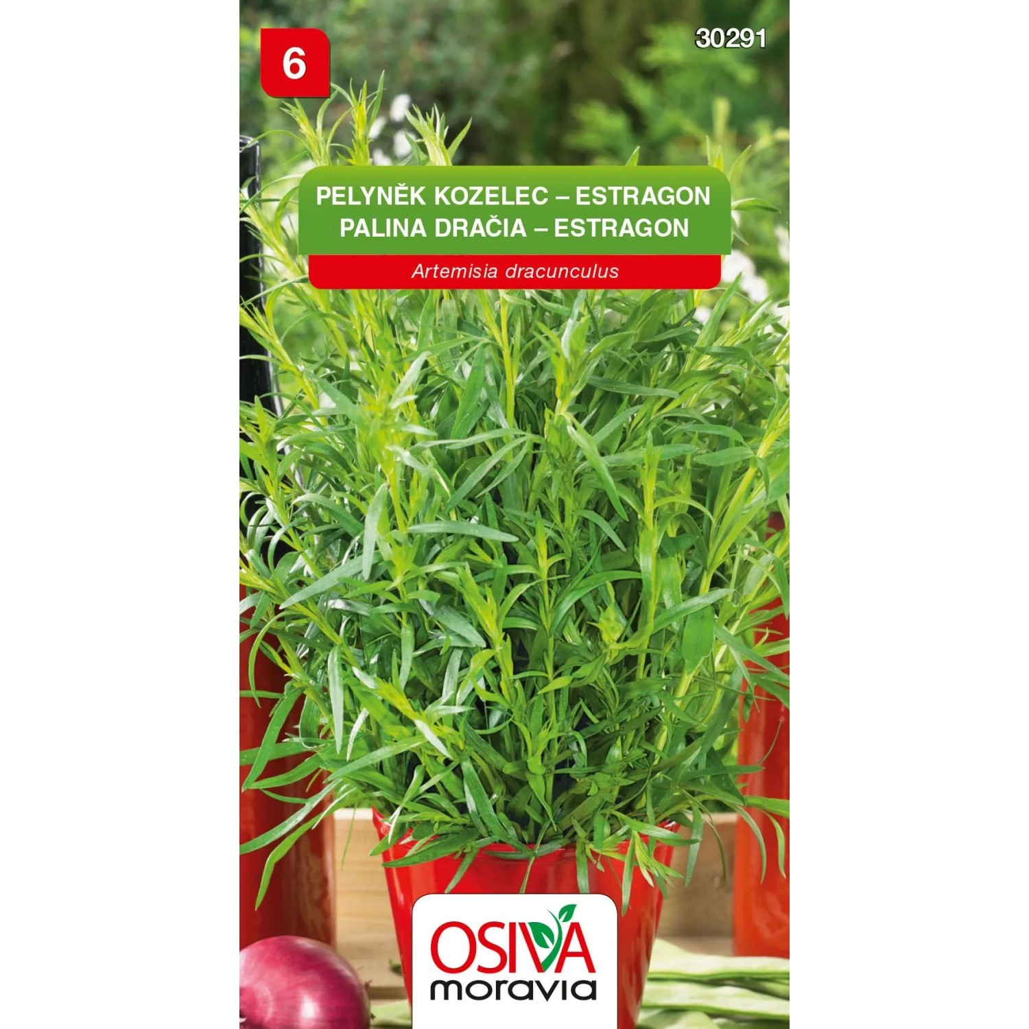 Semínka Pelyněk kozelec Estragon (Artemisia dracunculus)