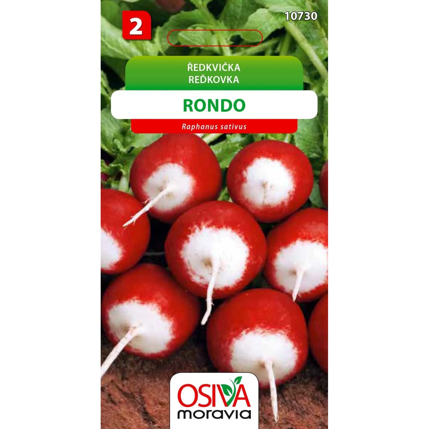 Ředkvička - Rondo (Raphanus sativus)