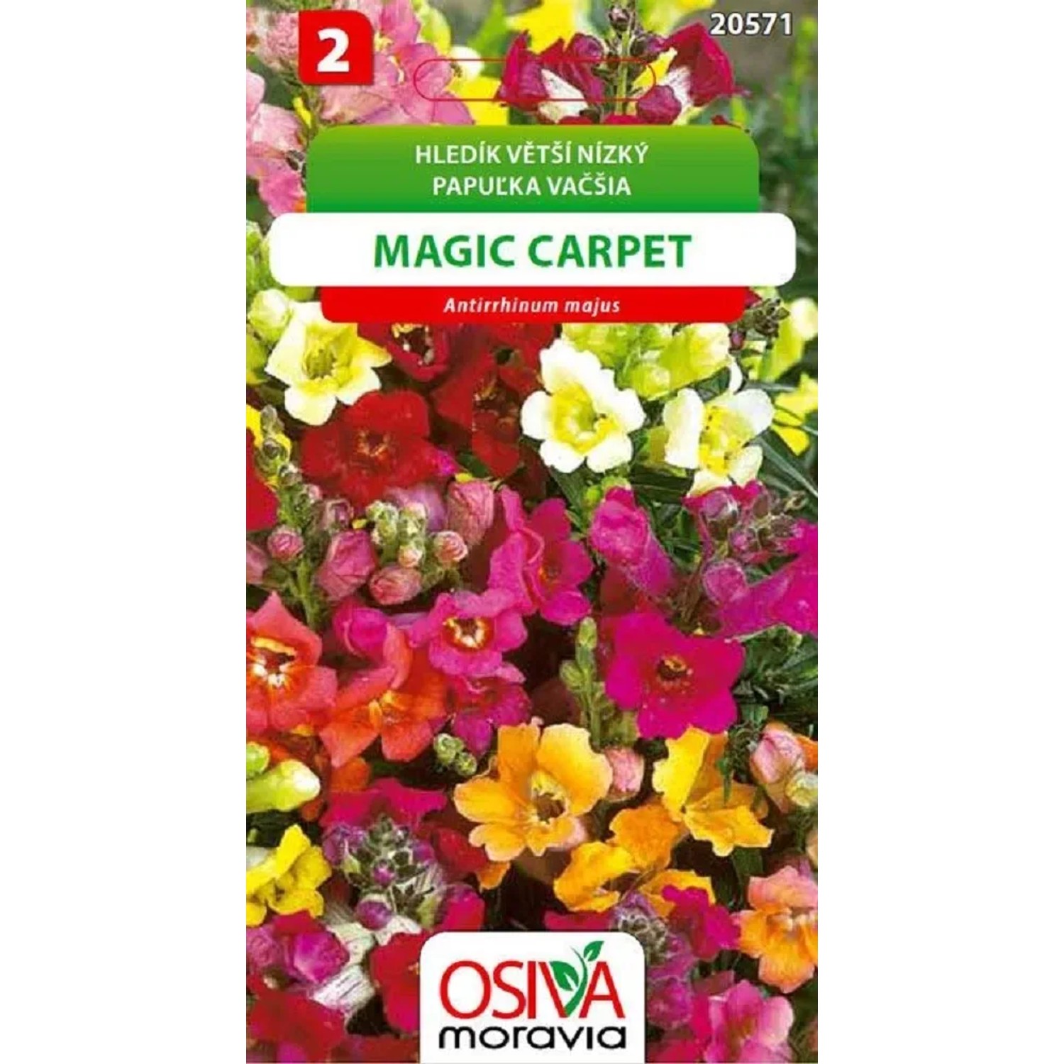 Semínka Hledík Větší nízký - Magic Carpet - směs (Antirrhinum majus pumilum)