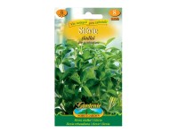 Gardenie Stevie sladká