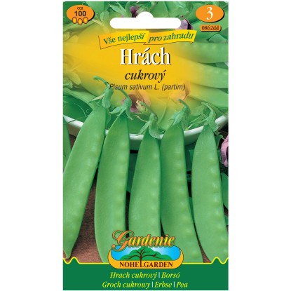 Gardenie Hrách cukrový