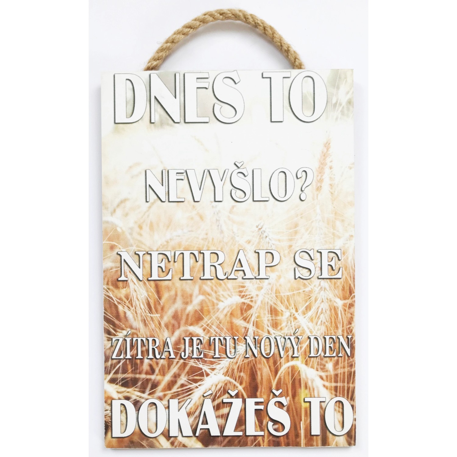 Bondecor Deskový obraz Free 20 x 30 cm