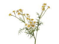 Boltze Umělá rostlina větvička heřmánek 3 x 10 x 48 cm, 1 ks