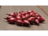GardenSeed Premium Cibule sazečka Red Karmen, 300 g GardenSeed Premium Cibule sazečka Red Karmen, 300 g