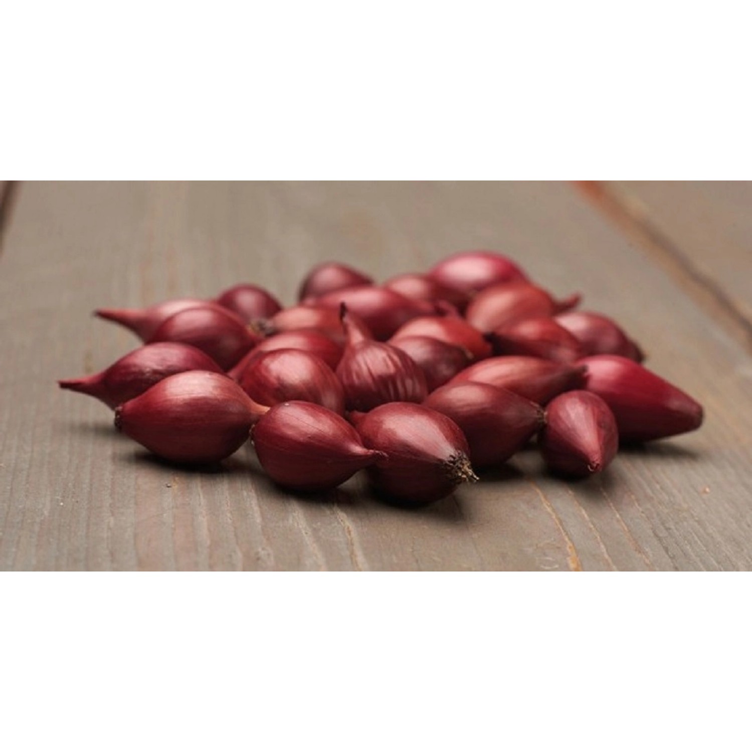 GardenSeed Premium Cibule sazečka Red Karmen, 300 g