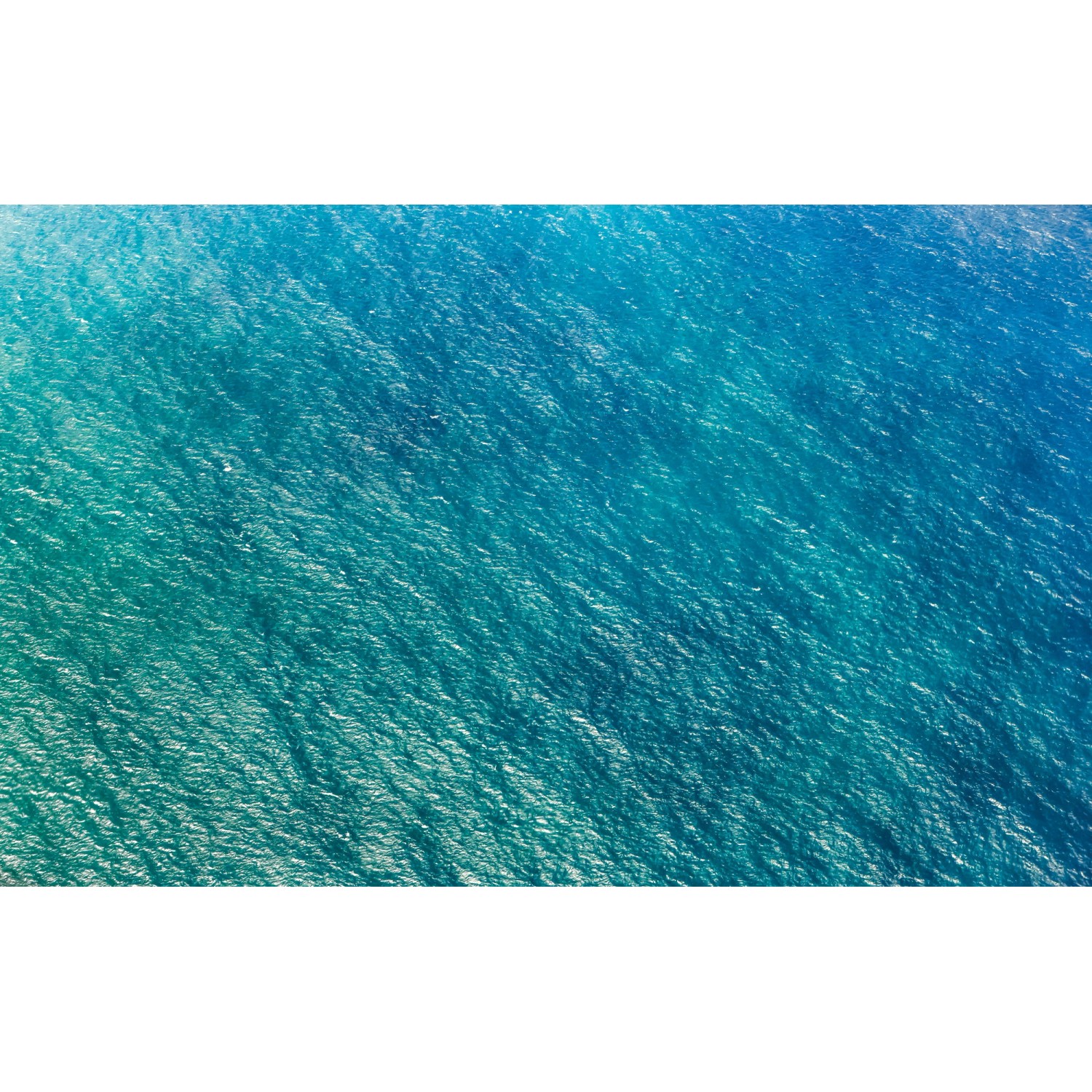 Komar Vliesová fototapeta Blaupause 400 x 250 cm