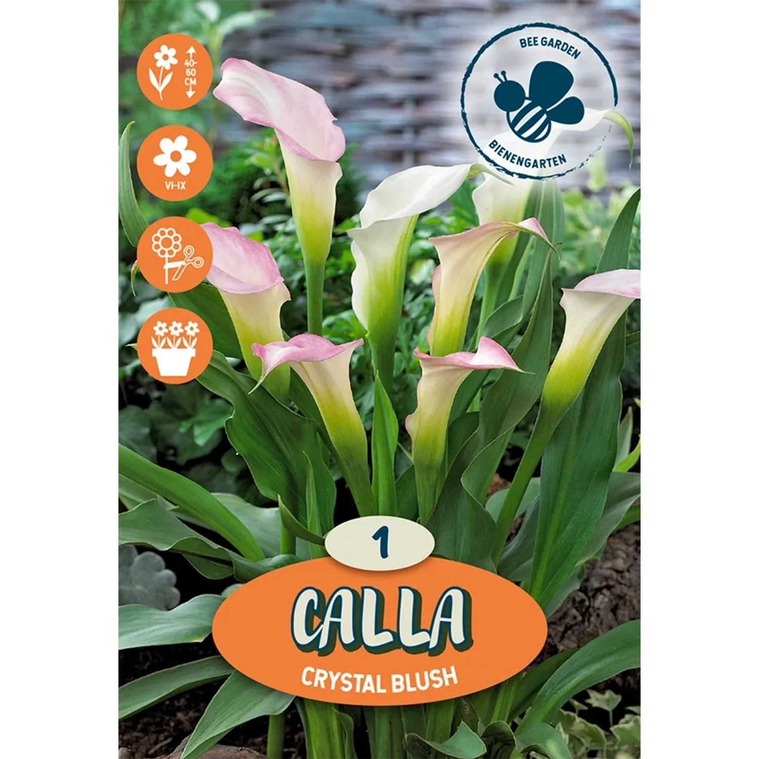 Kala Black Eyed Beauty krémová