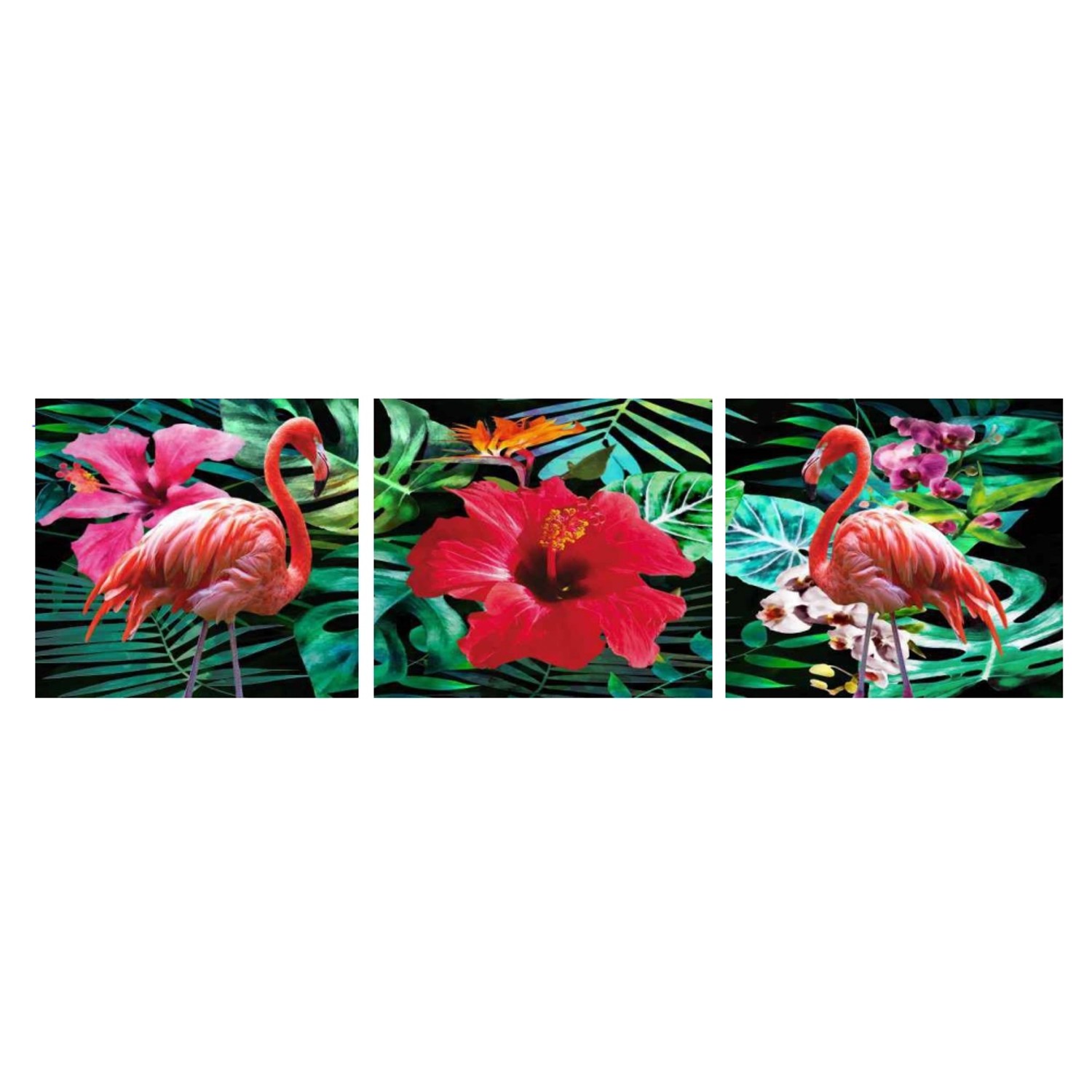 Bondecor 3dílná sada obrazů Animal 30 x 90 cm