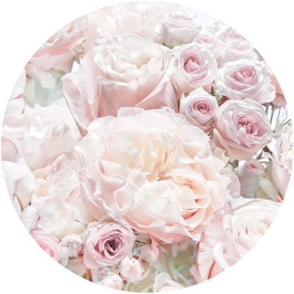 Komar Samolepicí vliesová fototapeta Dot Pink and Cream Roses pr. 125 cm