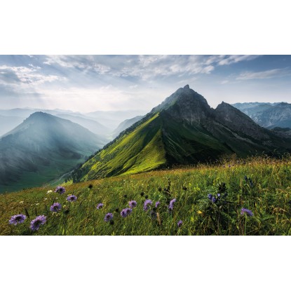 Komar Vliesová fototapeta The Green Queen 450 x 280 cm