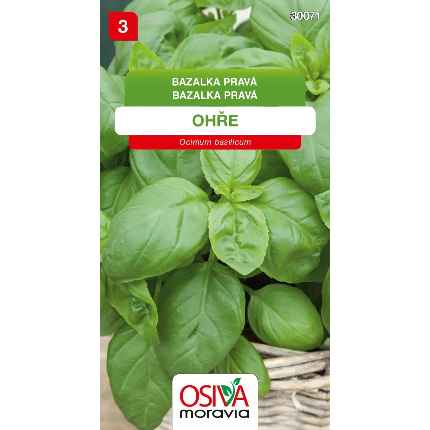 Semínka Bazalka pravá Ohře (Ocimum basilicum)