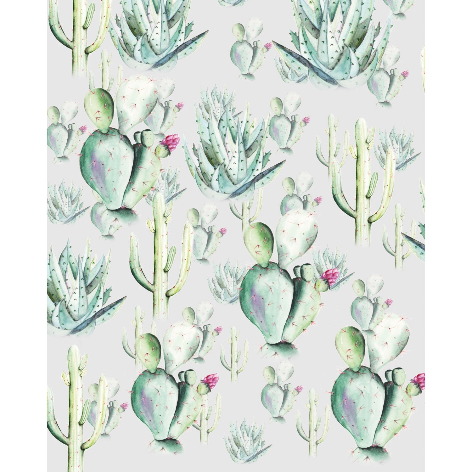 Komar Vliesová fototapeta Cactus Grey 200 x 250 cm