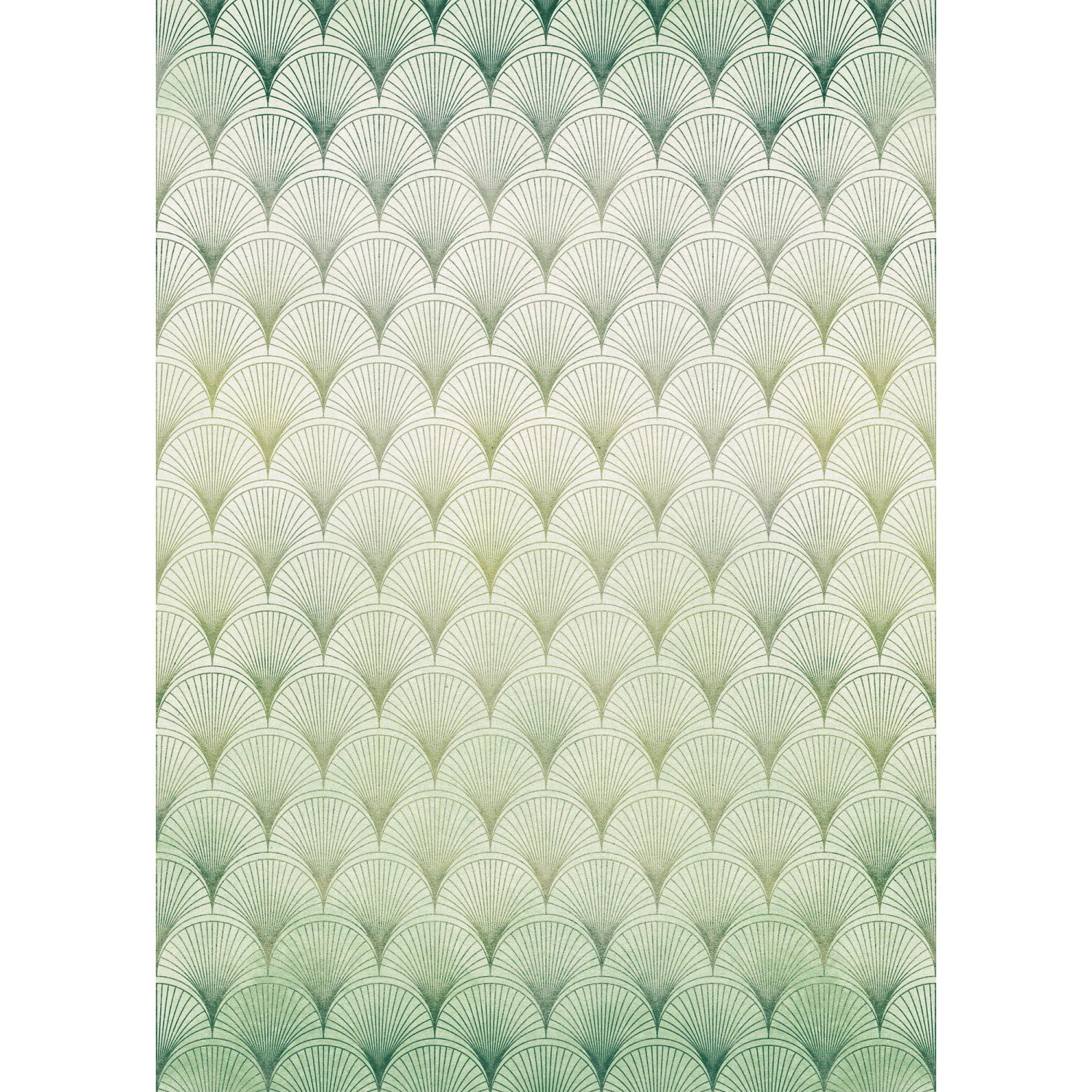 Komar Vliesová fototapeta Écailles 200 x 280 cm