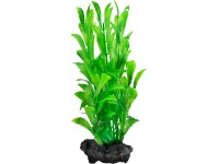 Tetra Rostlina do akvária Hygrophila S 15 cm