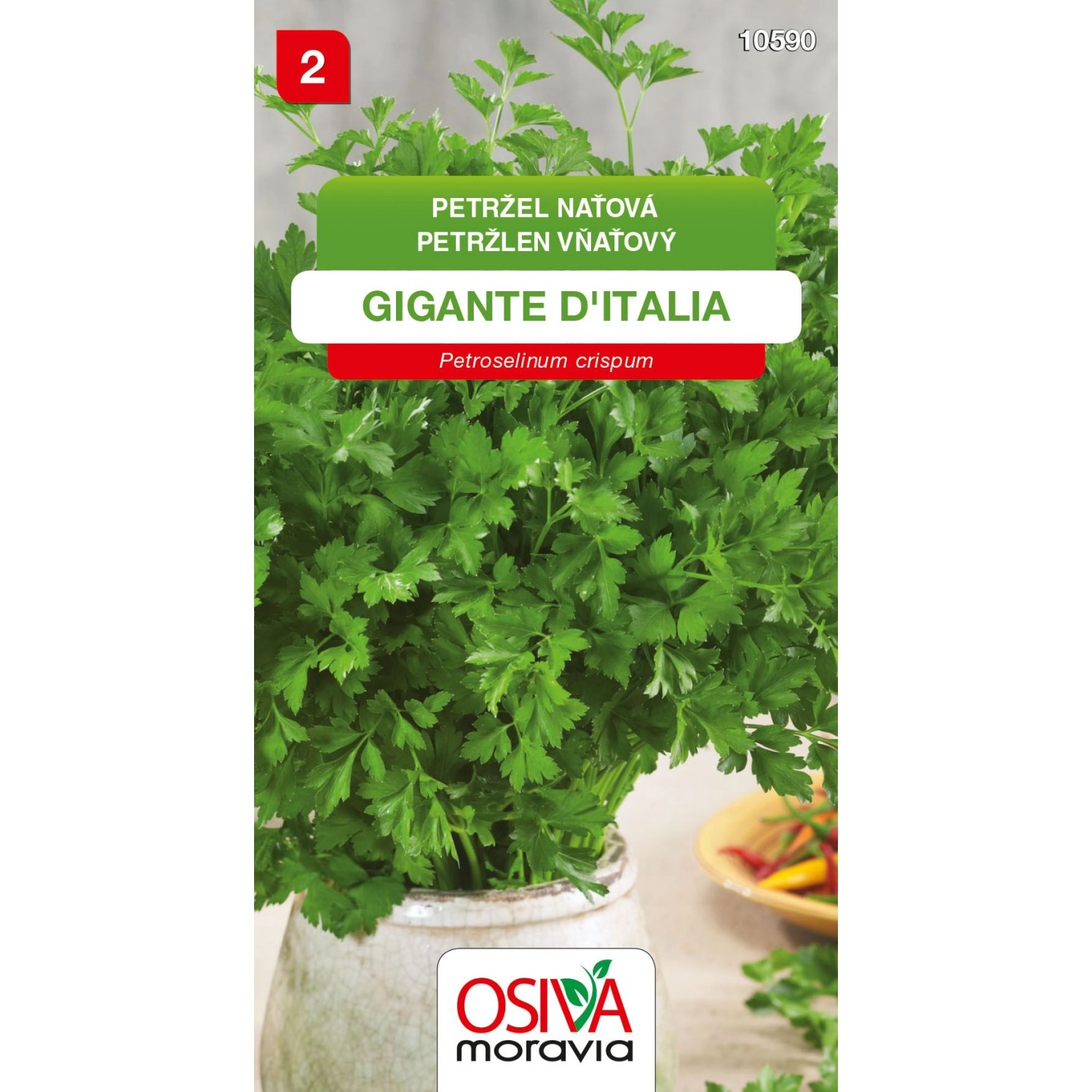 Semínka Petržel naťová Gigante D'Italia (Petroselinum crispum)