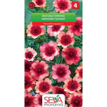 Semínka Mochna červená (Potentilla nepalensis)