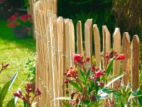 Florawrold Plaňkový zahradní plot, líska přírodní, 4-5 cm, 500 x 90 cm