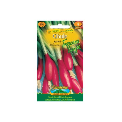Gardenie Cibule jarní TROPEANA LUNGA, červená