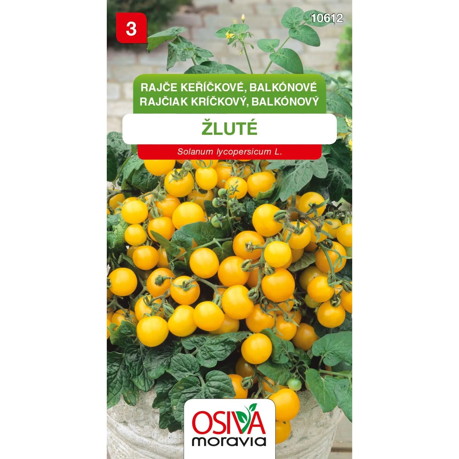 Semienka Rajče keříčkové, balkónové, žluté