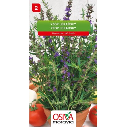 Semínka Yzop lékařský (Hyssopus officinalis)
