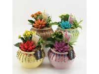 Aranžmá s kolopejkou, dužnatkou a zelencem v keram.kv., různé druhy, pr. 19 cm