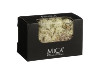 MICA Decorations Sobí mech krémový 50 g