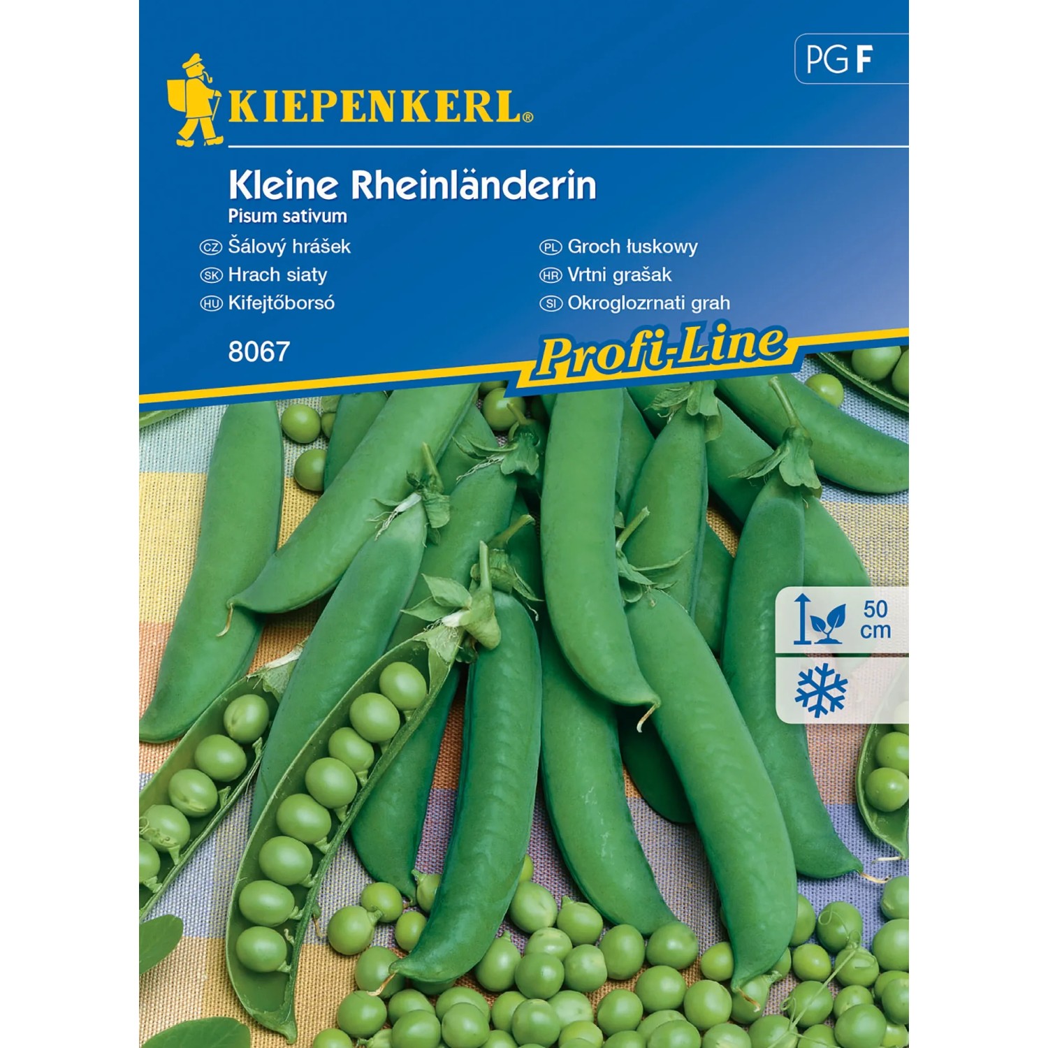 Kiepenkerl Šálový hrášek Kleine Rheinländerin