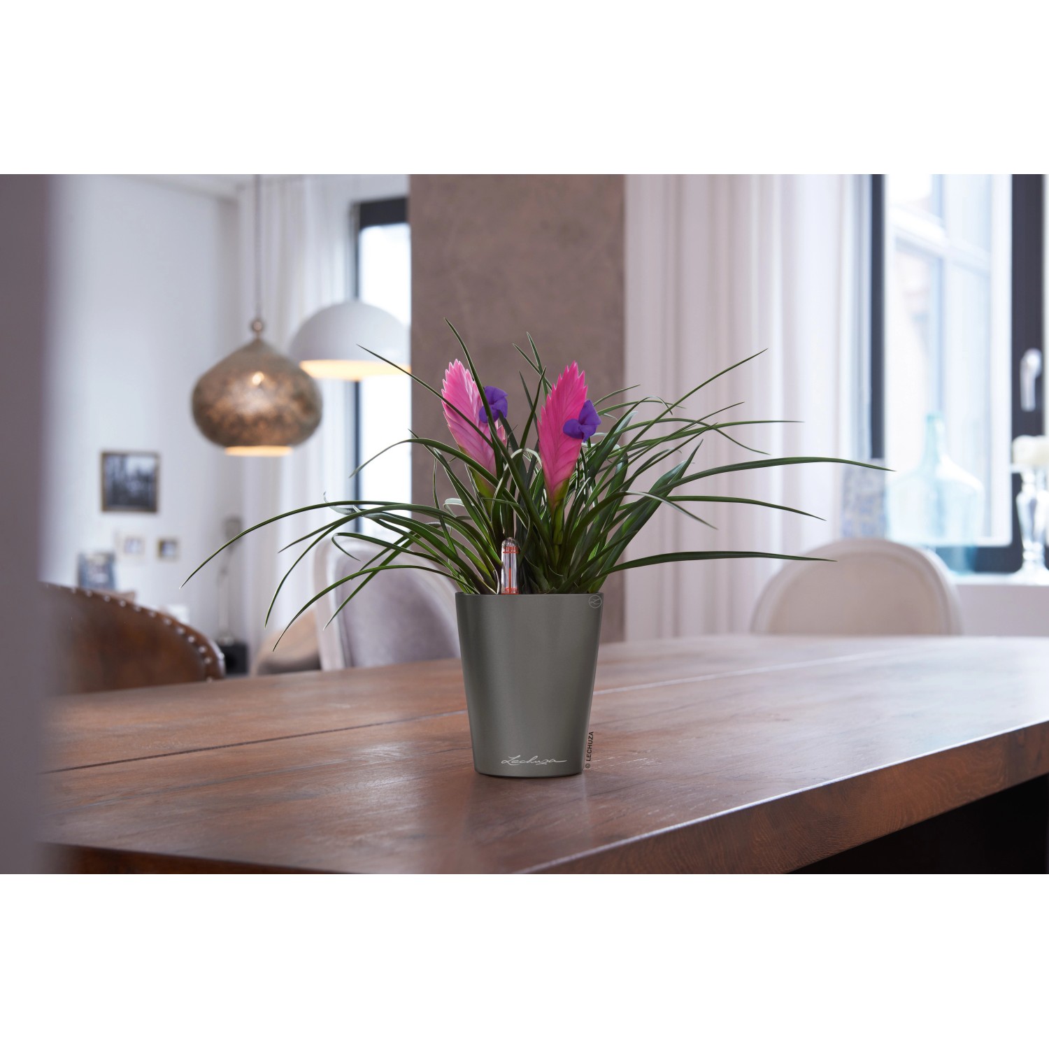 Lechuza Květináč Mini Deltini antracitový, 130 x 100 x 100 mm