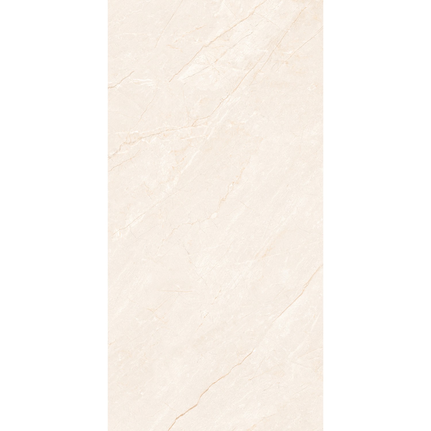 Dlažba Carno Ivory, 60 x 120 cm