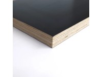 JAF HOLZ Překližka fóliovaná hladká/hladká Bříza 21 x 1200 x 600 mm