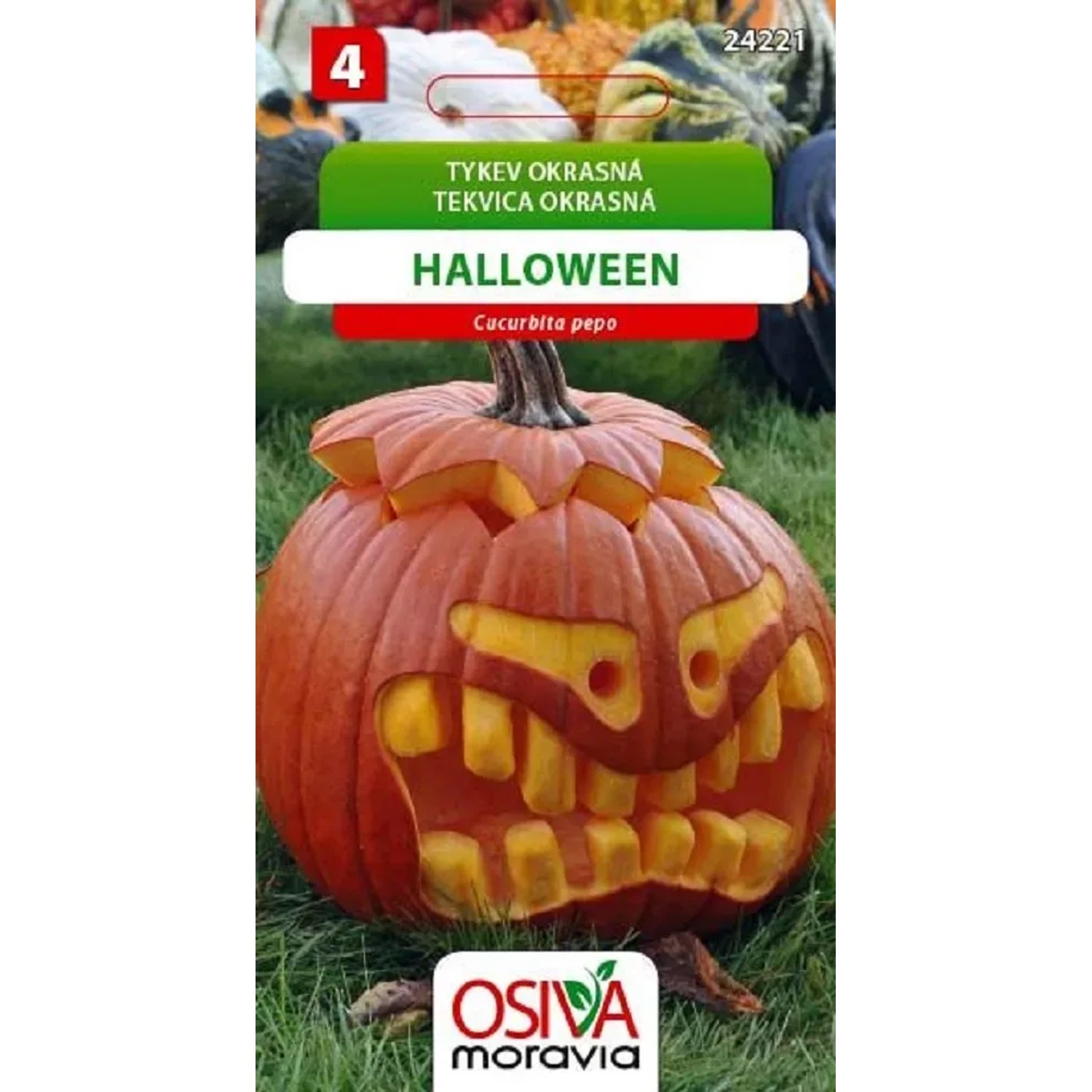 Semínka Tykev okrasná Halloween (Cucurbita pepo)
